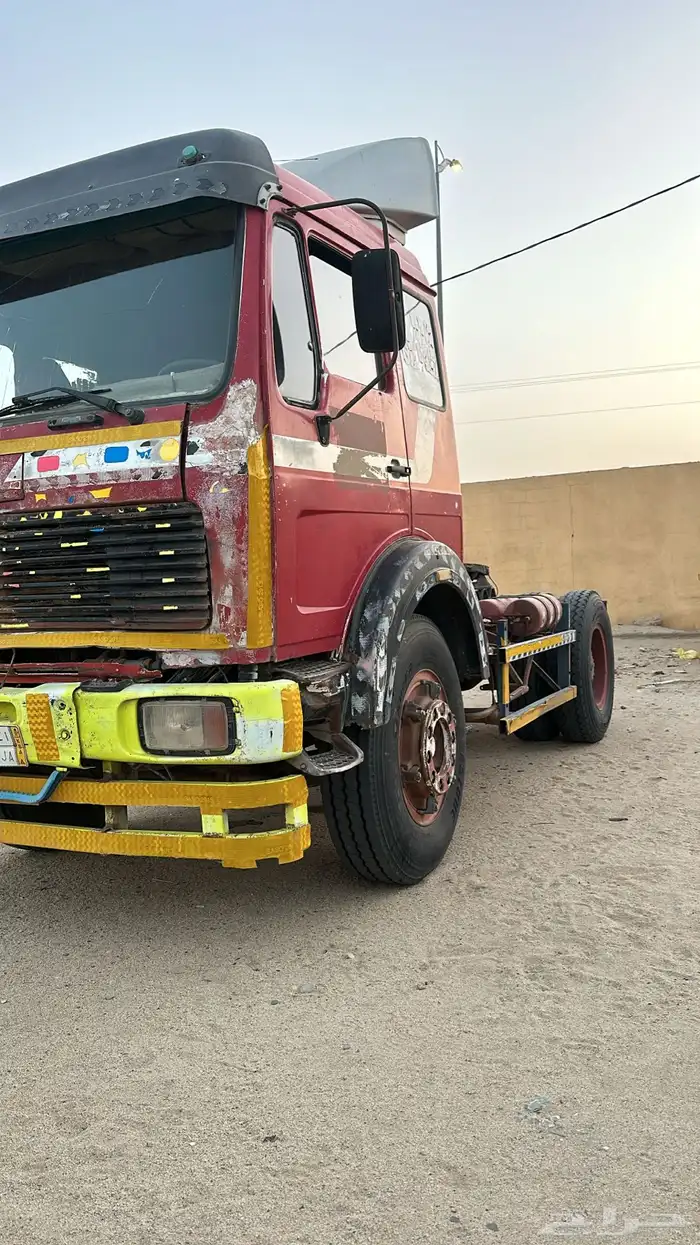 لبيع ألبي رأس 2