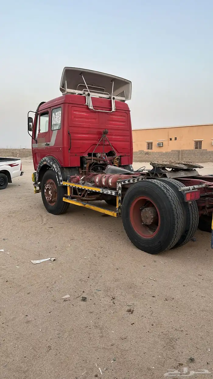 لبيع ألبي رأس 1