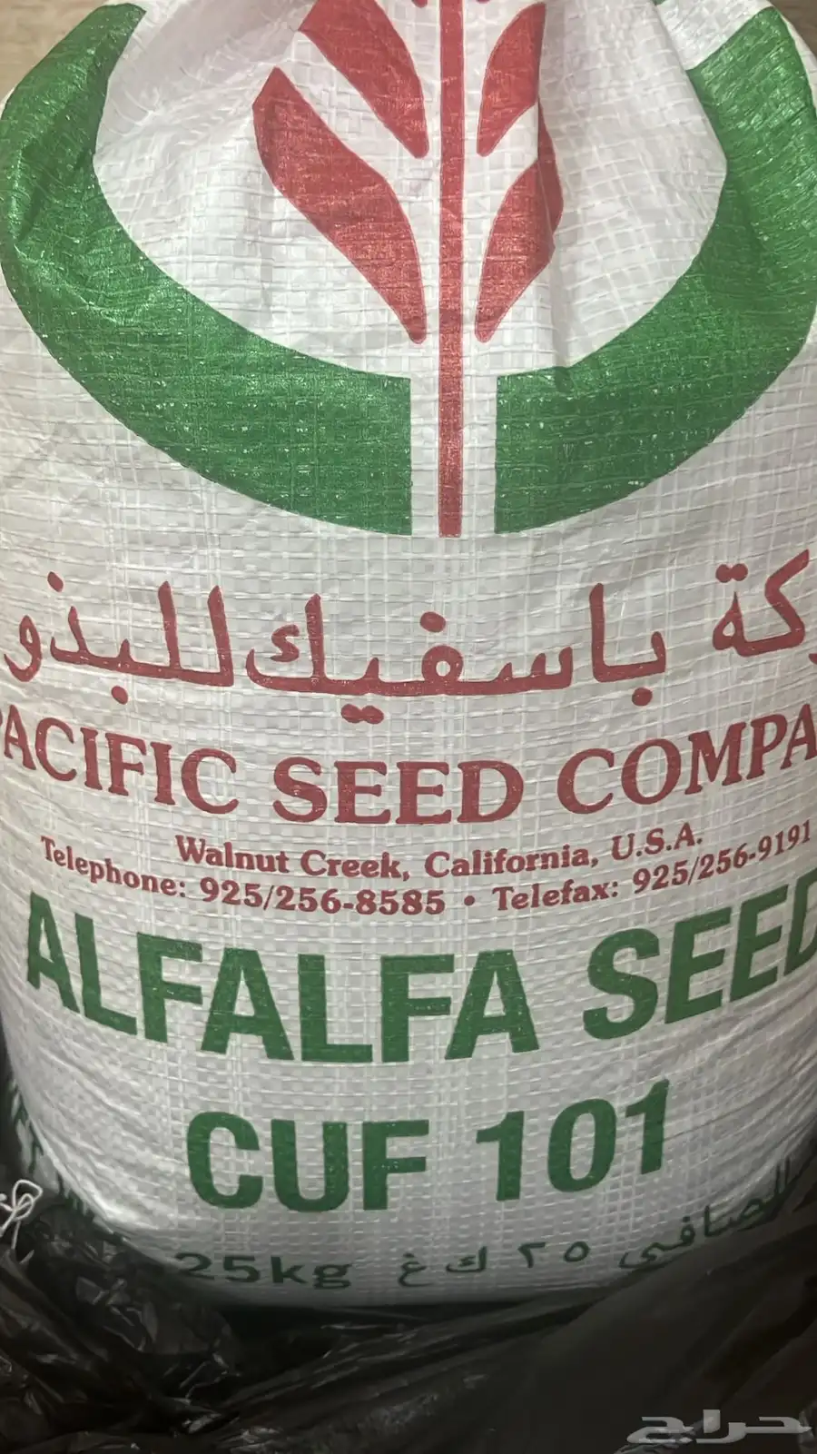 بذار برسيم باسفيك كاف 101 0