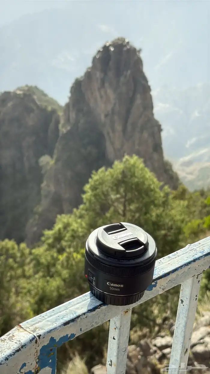 كاميرا Canon 250D   عدستين   شنطة Tenba - نظيفة جدا 2