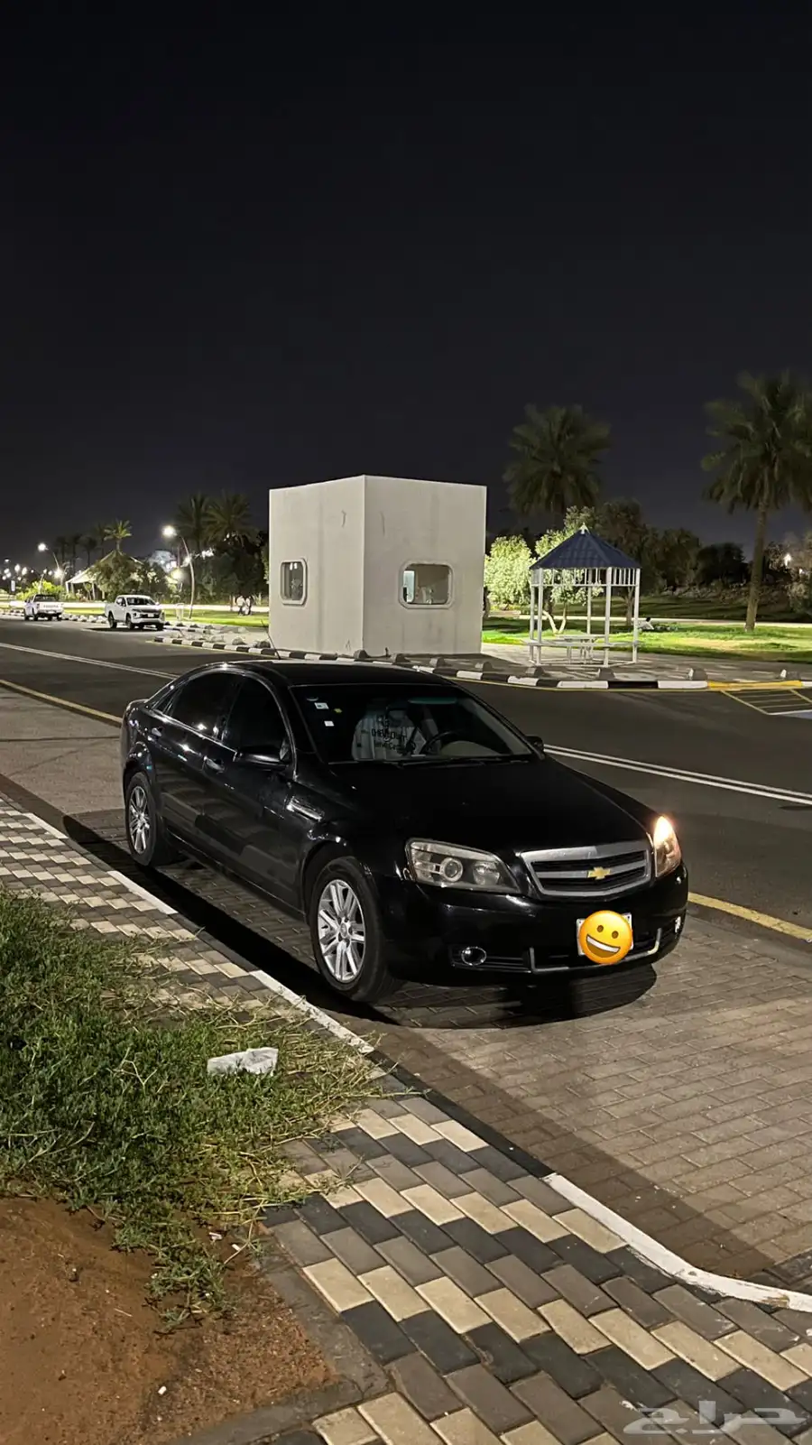 كابرس 2010 2
