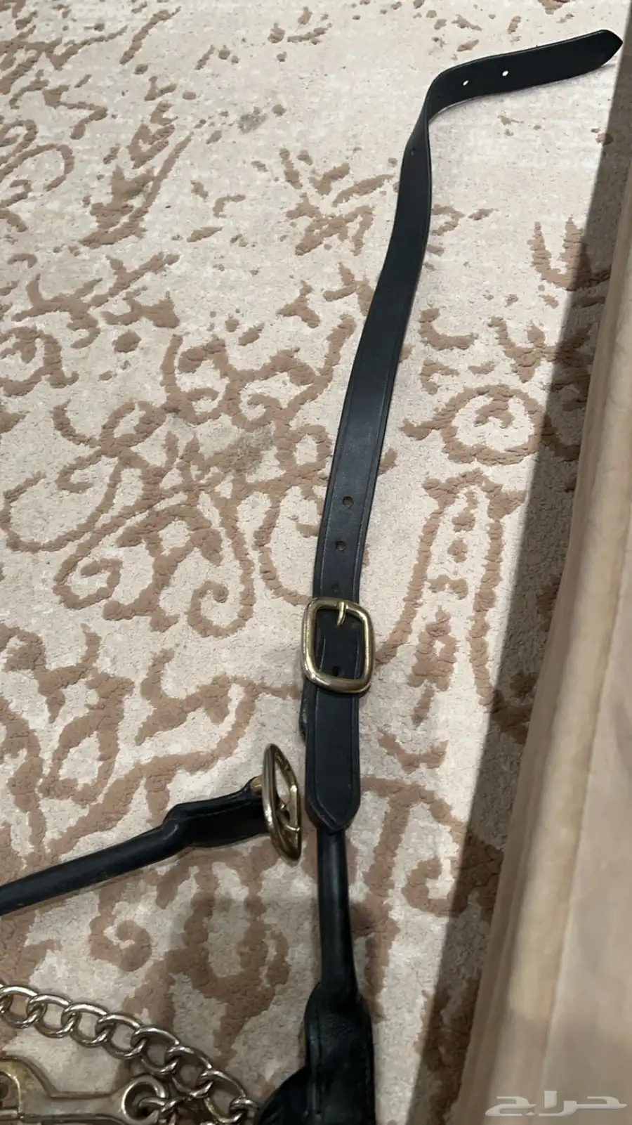 رشمه جمال 5
