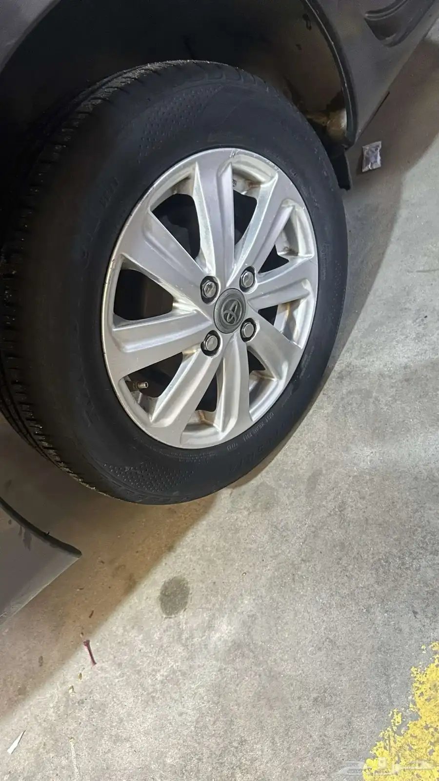 جنوط يارس 3