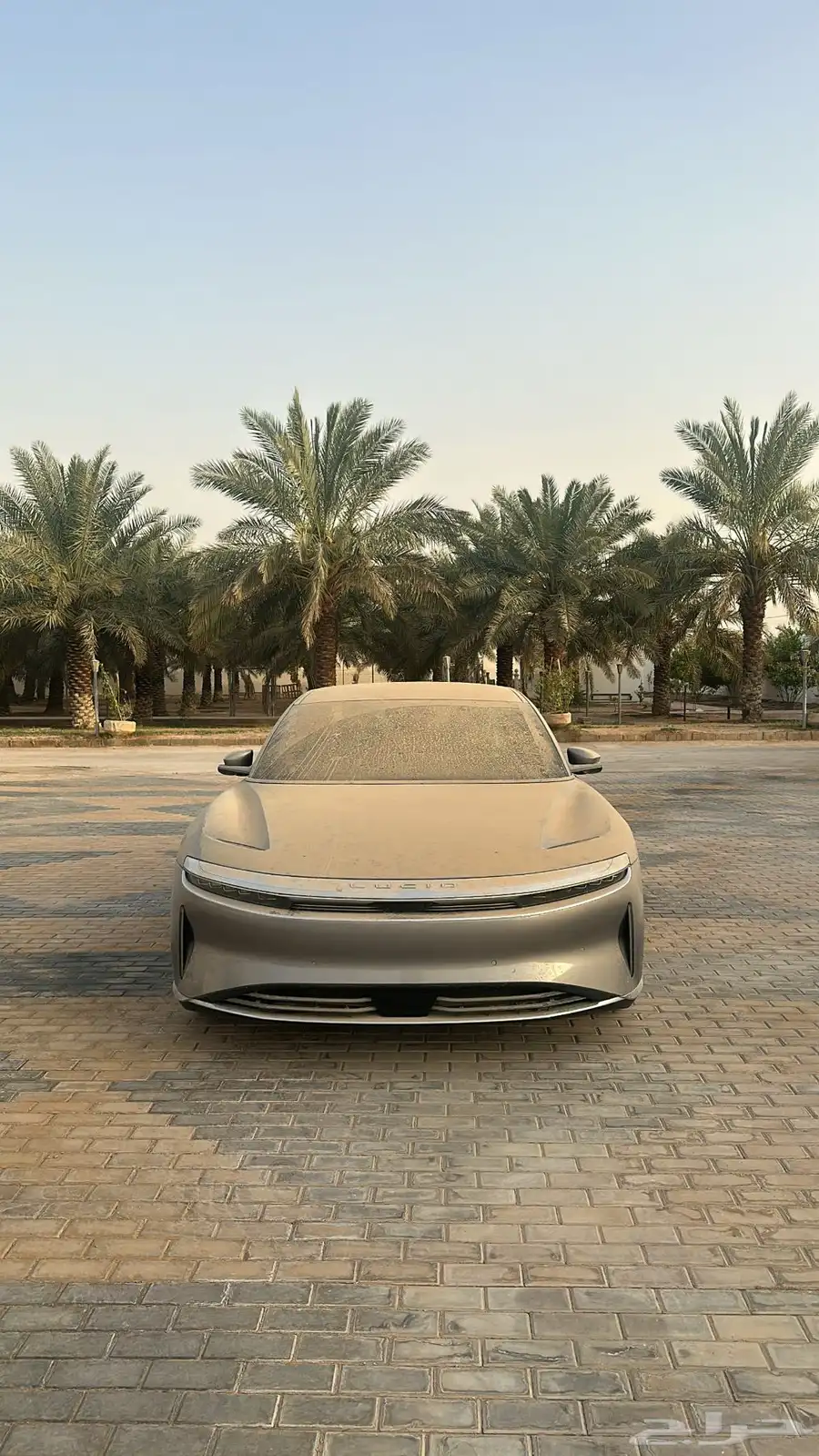 لوسيد الصفار 7