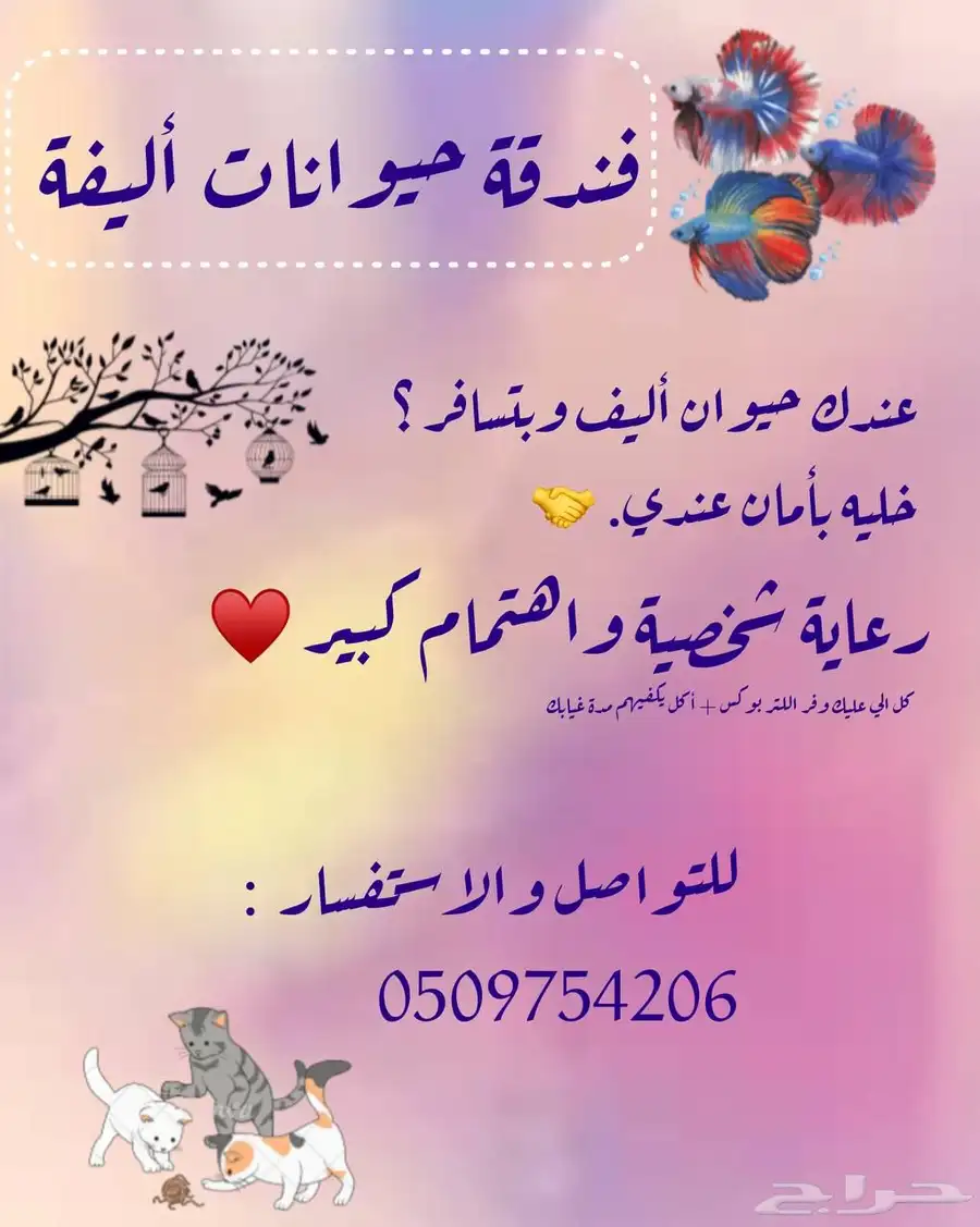 فندقة حيوانات 0