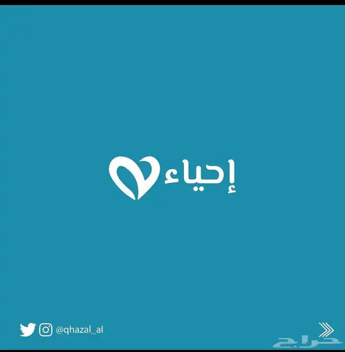 مصمم محترف 13