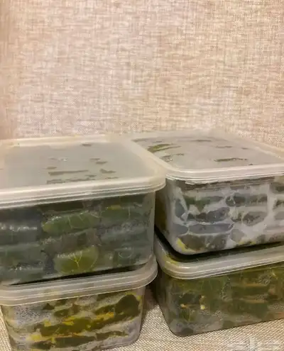 ورق عنب فرش ونظيف ولذيذ جدا  صنع بحب للبيع التواصل 0