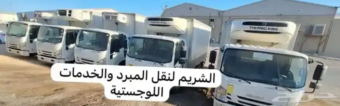 للإيجار ديماكس ثلاجة دينا ثلاجة 2023 8
