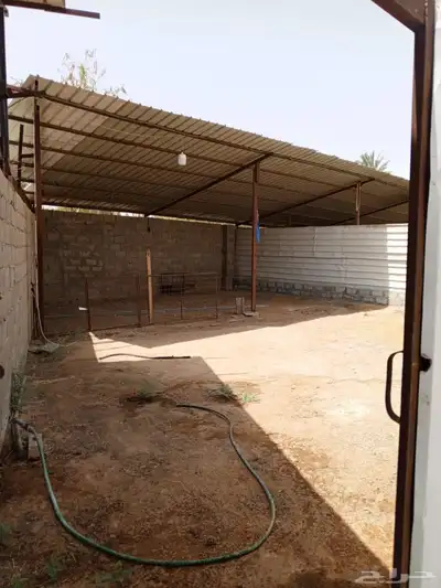 حوش داخل مزرعتي مظله 1