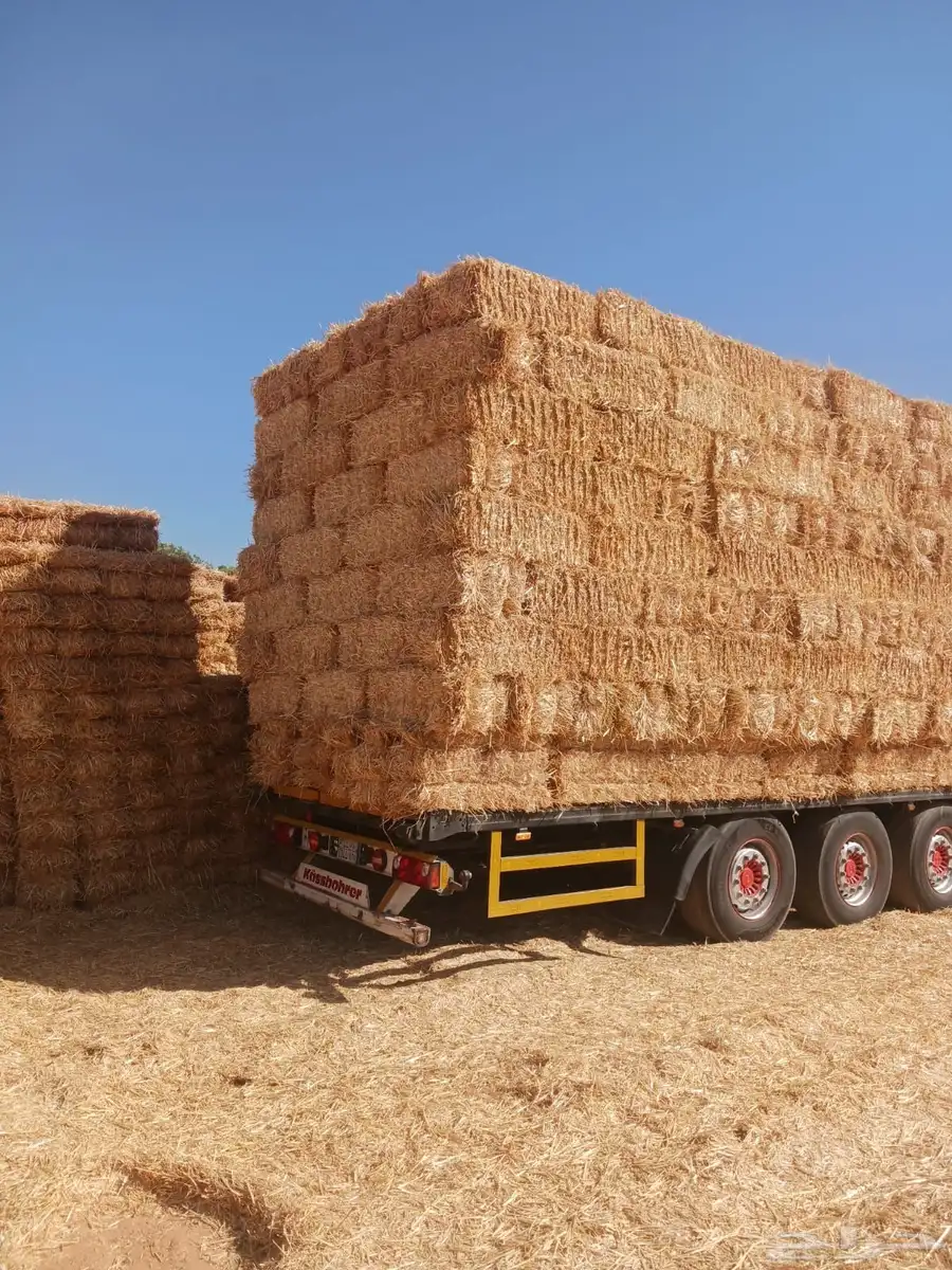 تبن قمح شد أوزان 2