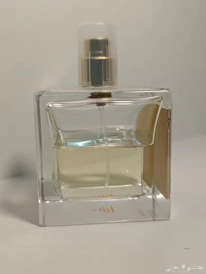 روجا بيرلنجتون 1819 1