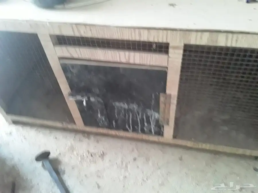 فقاسه وحضانات 4