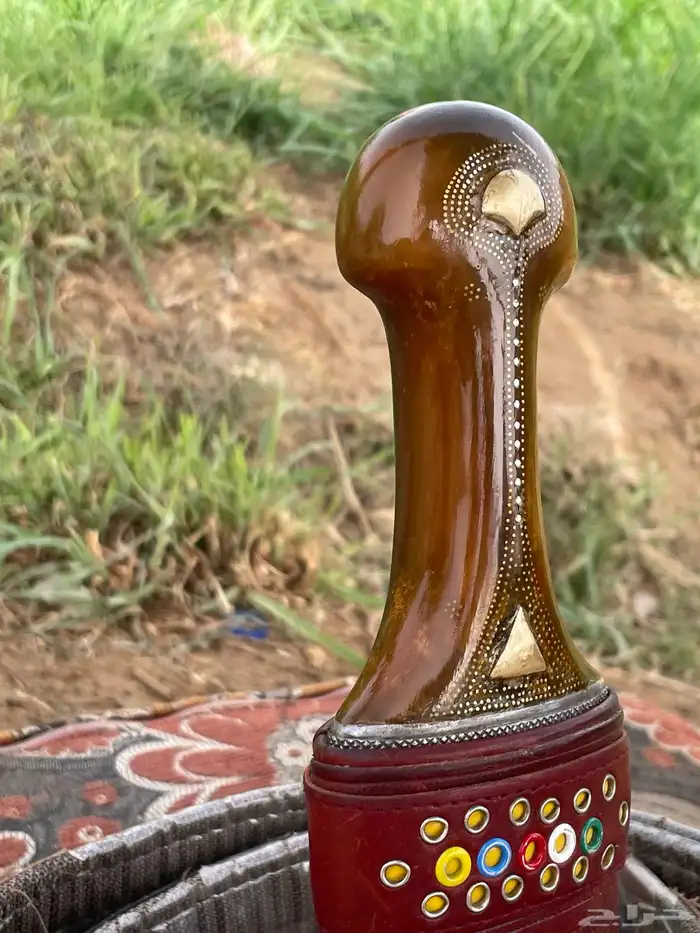 جنبيه شبيه الزراف 2