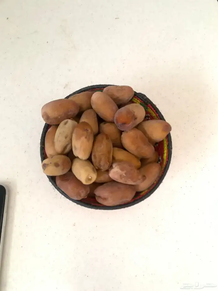 تمر بياض وماكل نجران 9