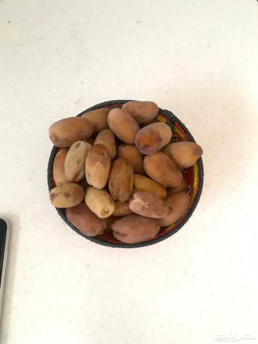 تمر بياض وماكل نجران 9