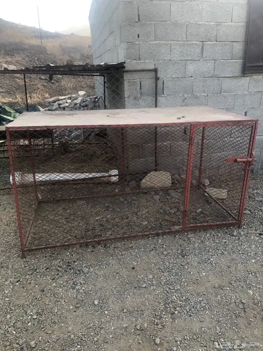 شبكة دجاج 0