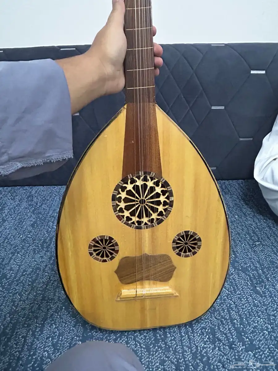عود للبيع 4