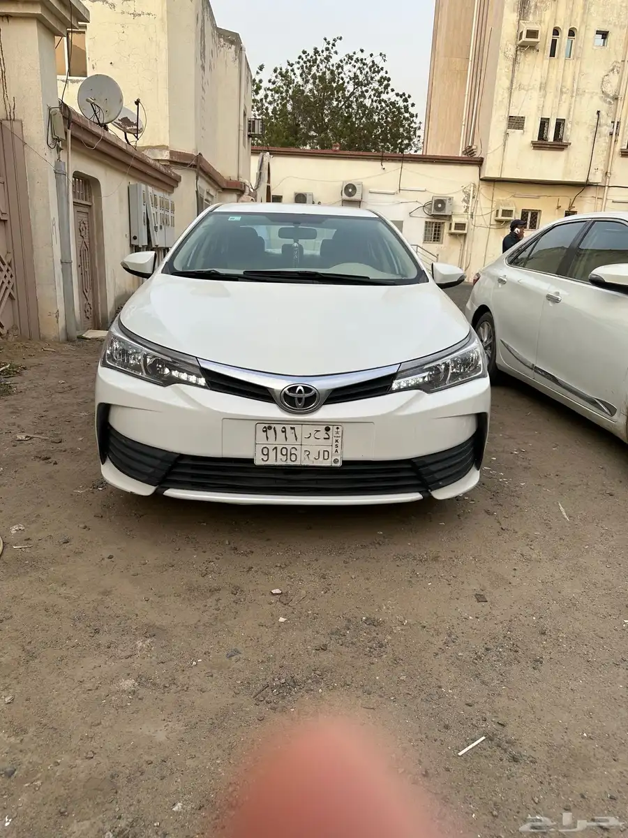 صبيا جيزان 0