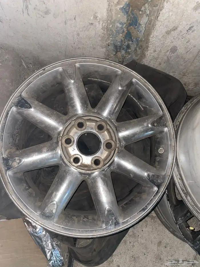 جنوط جمس دينالي وكاله 20 0