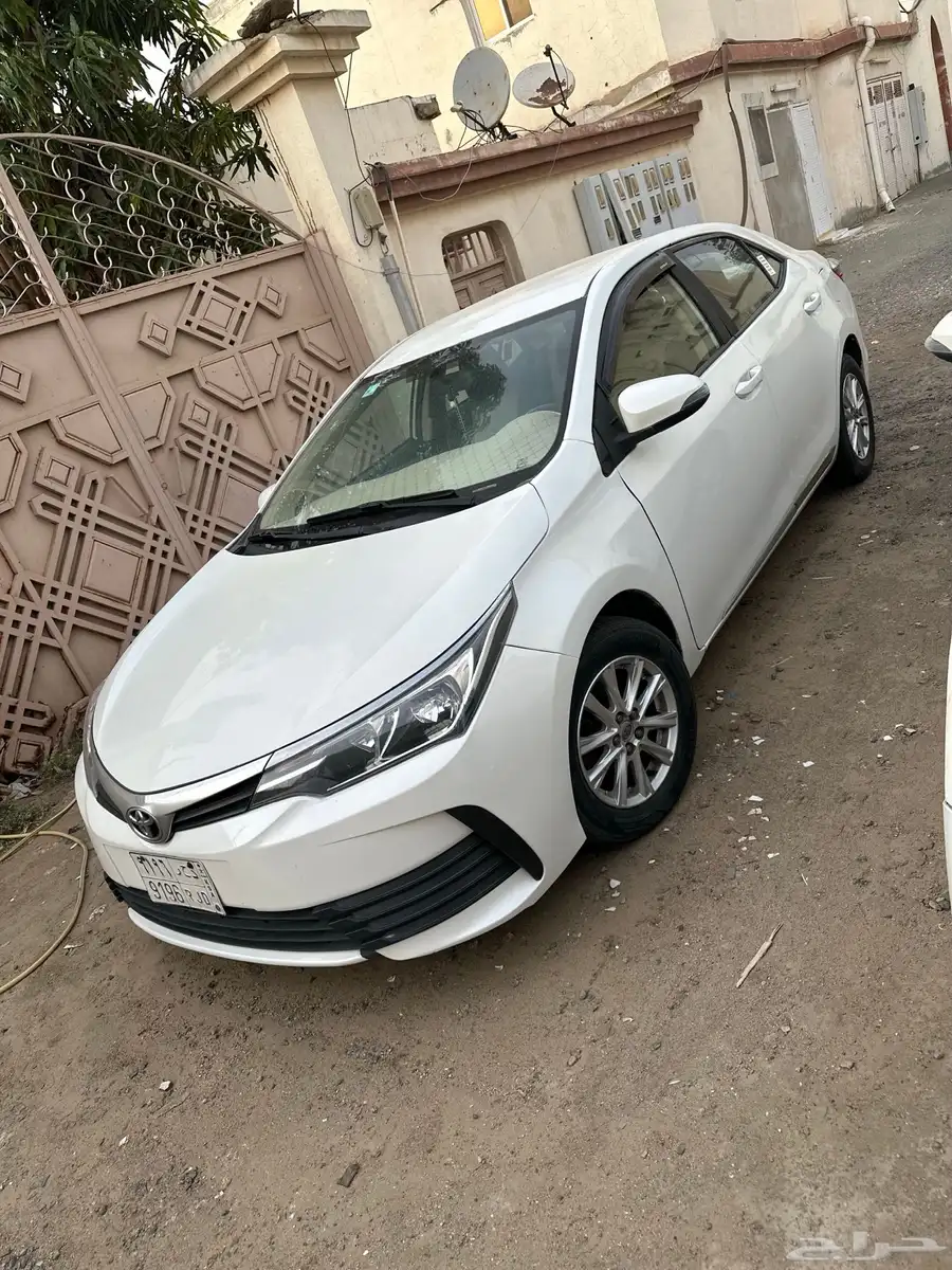 صبيا جيزان 4