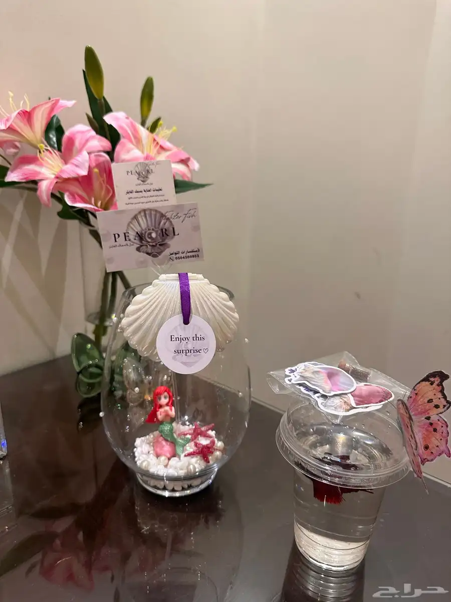 سمك فايتر 6