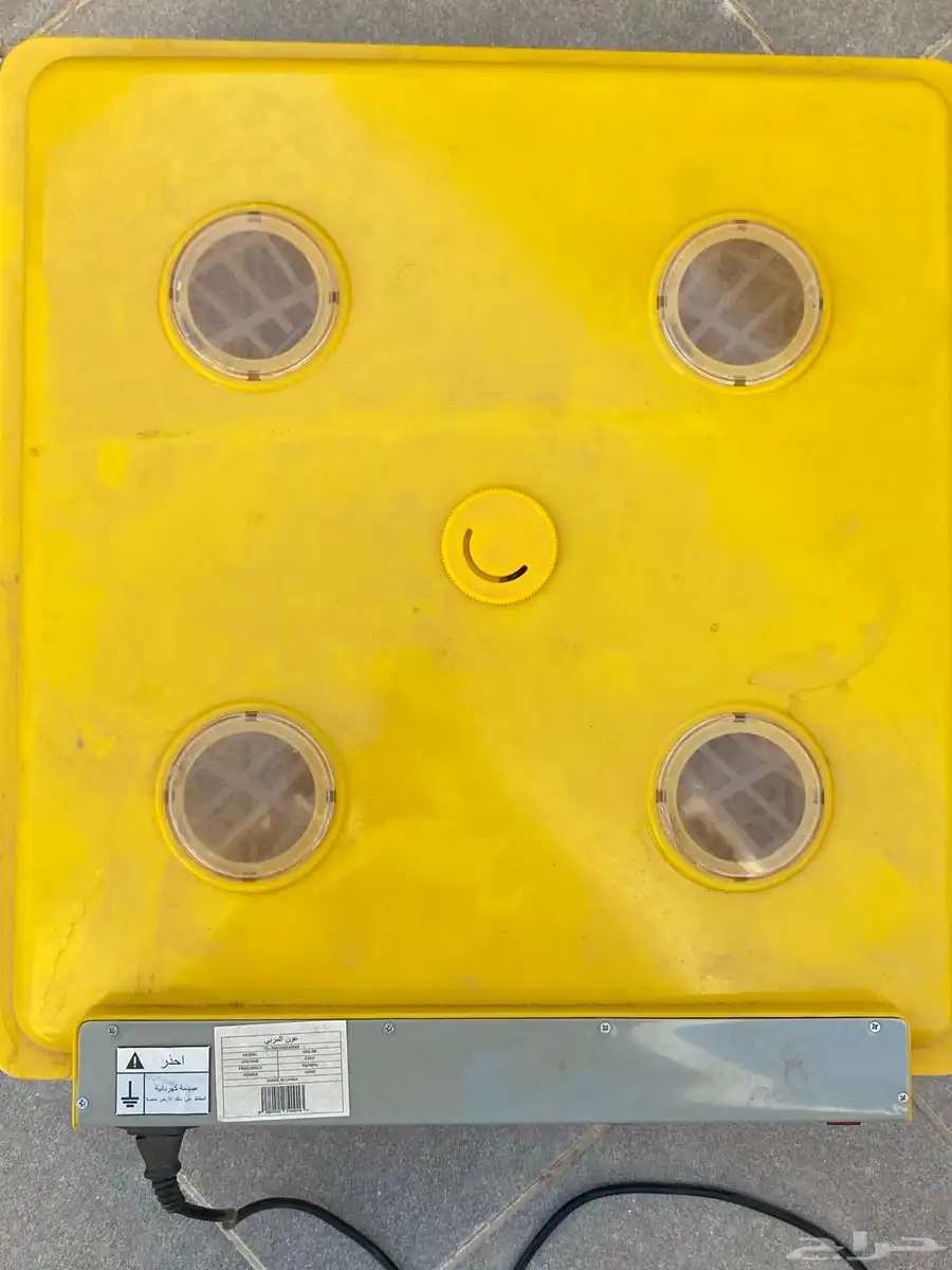 فقاسة عون 98 بيض 2