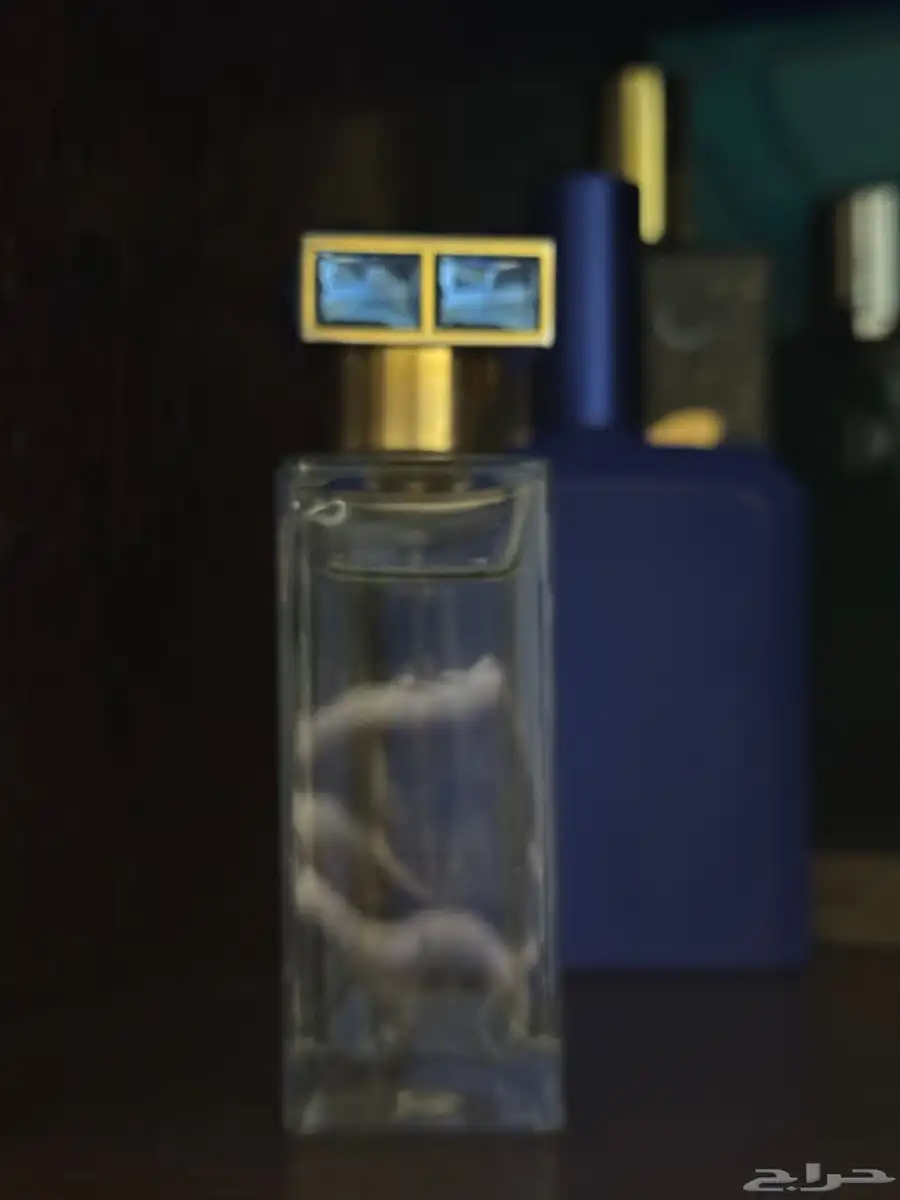عطر Oceania Roja Dove 1