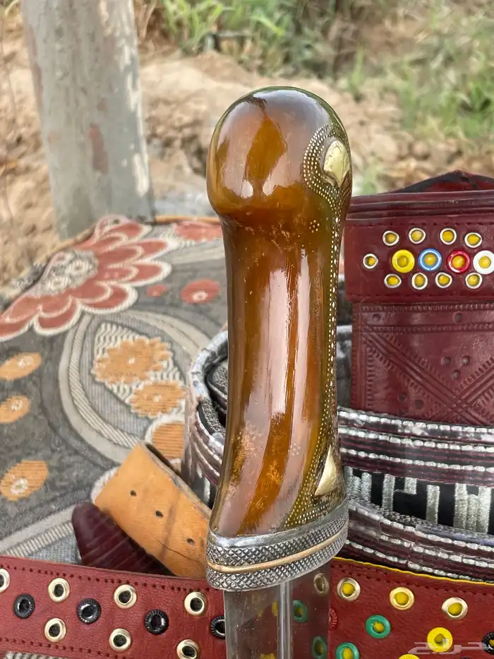 جنبيه شبيه الزراف 5