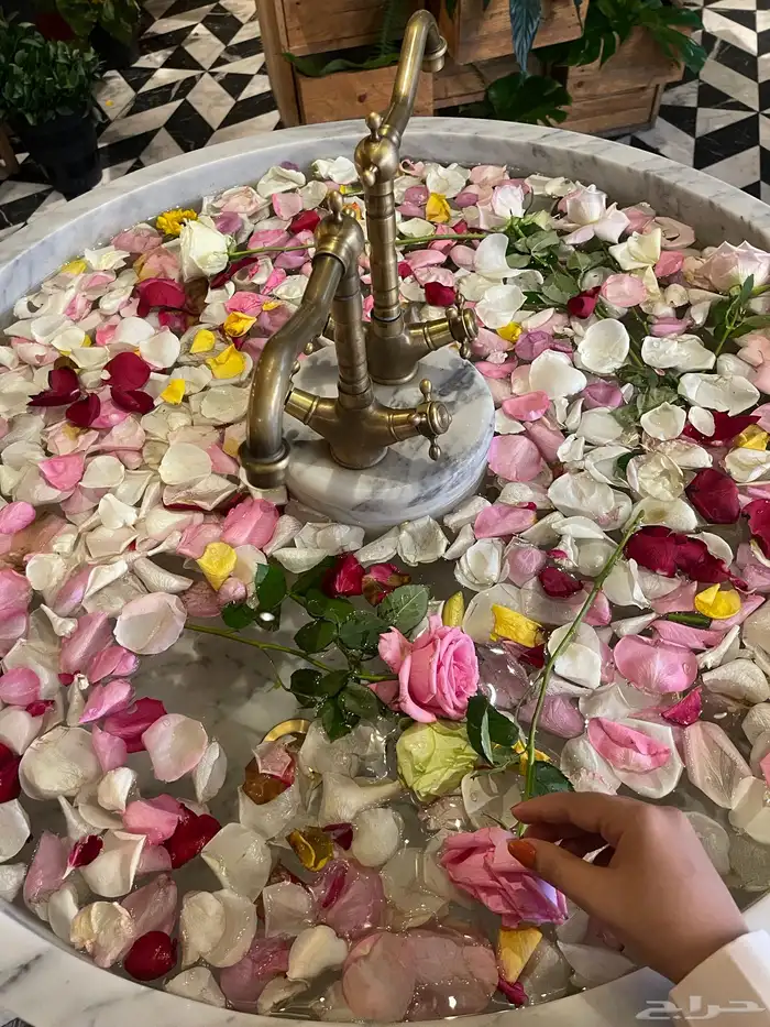 مصورة جوال 10