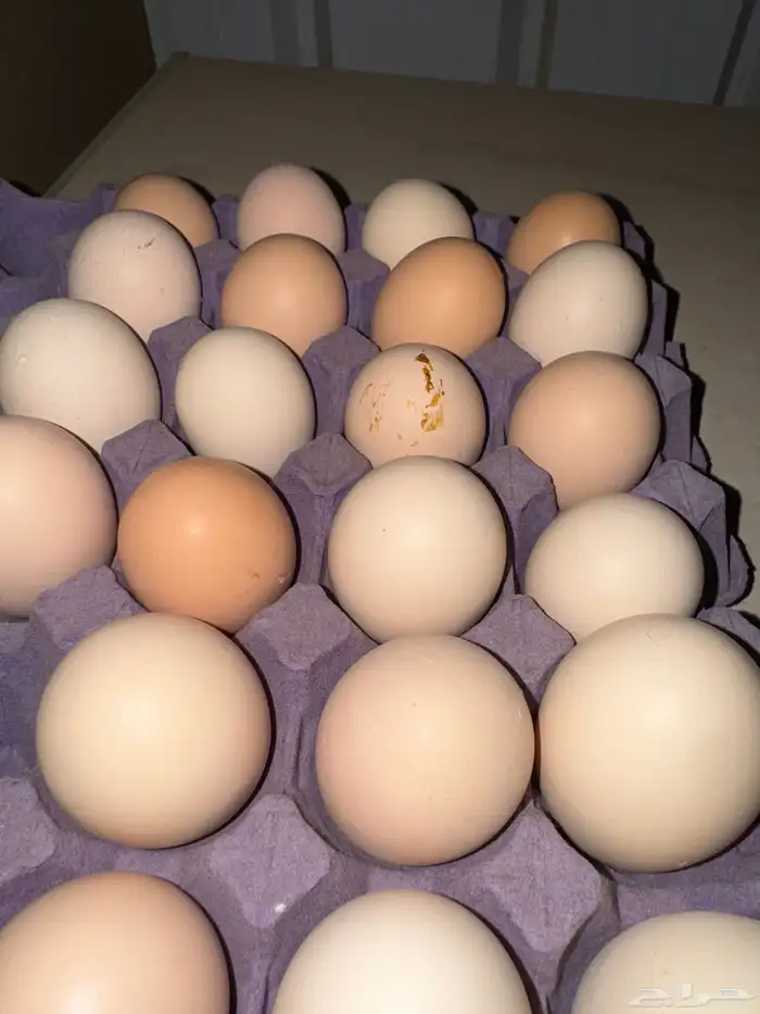 تم البيع 0