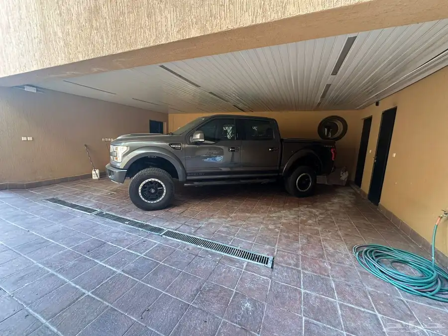 فورد شلبي 0