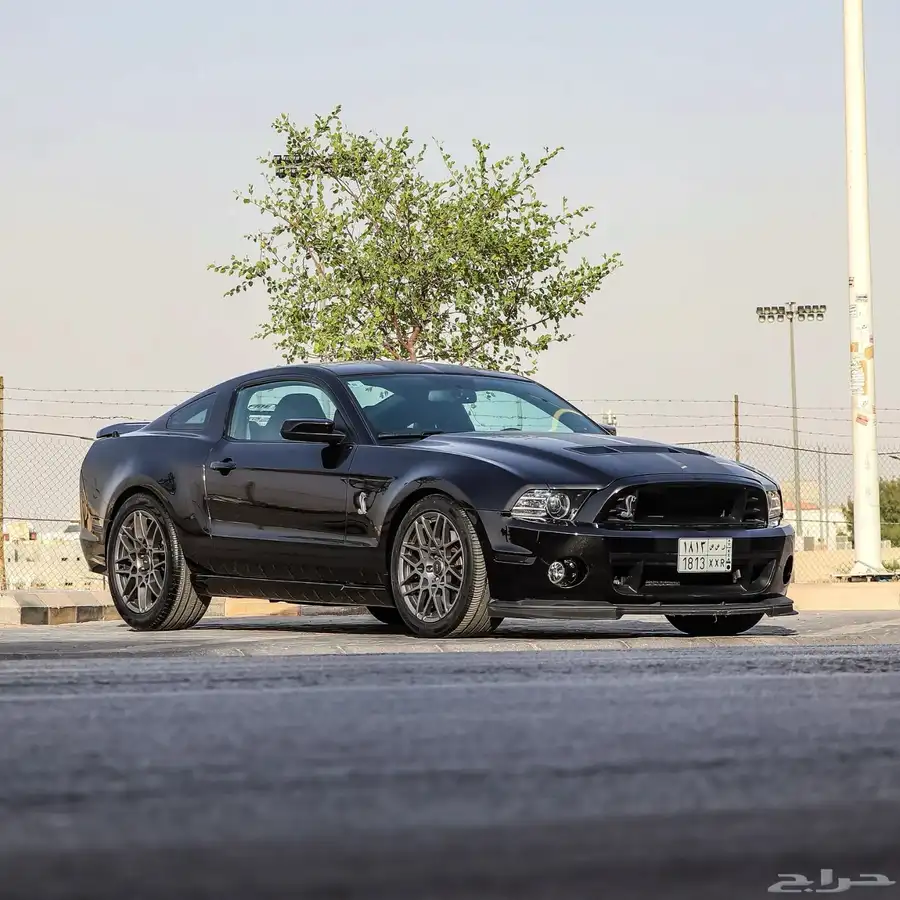 Mustang Shelby GT500 1