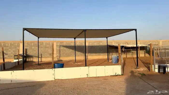 لبيع مضلات الأبل تور الجزيرة ضمان سنة من هريان الشمس 0