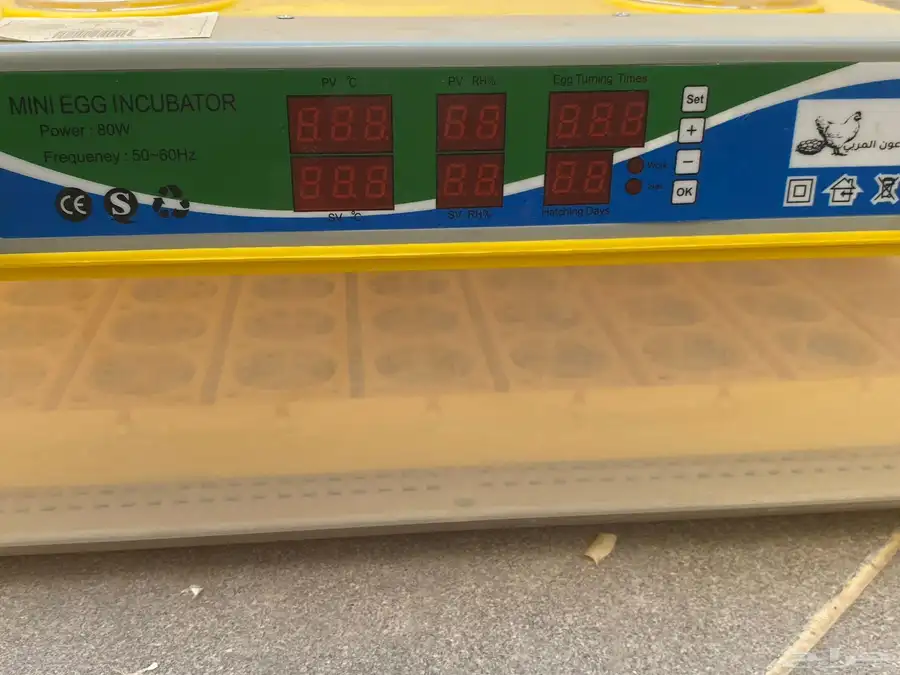 فقاسة عون 98 بيض 3