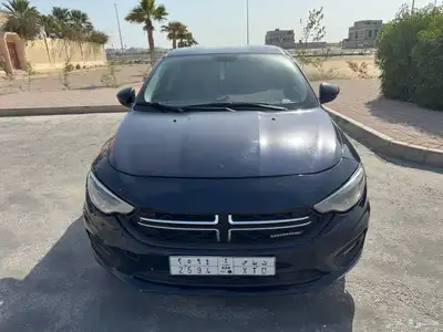 دودج نيون 2019 0