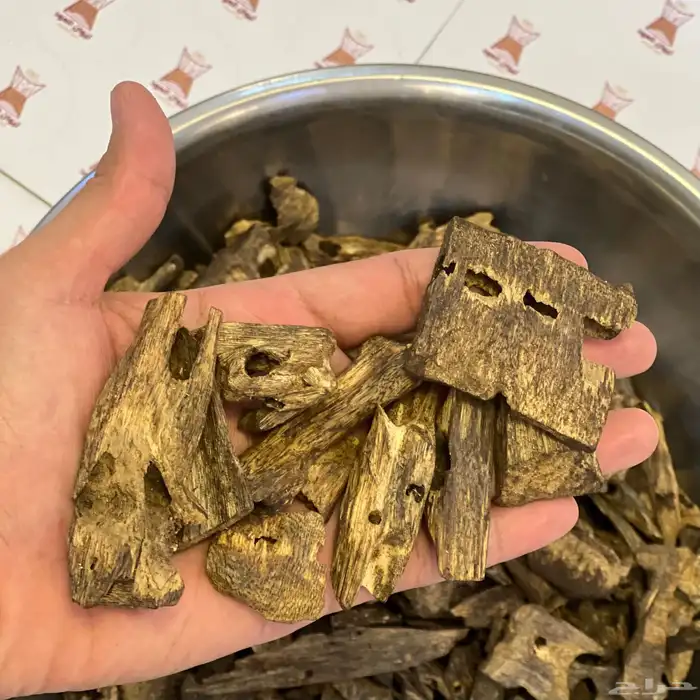 عود كينام دبل سوبر طبيعي 100 4