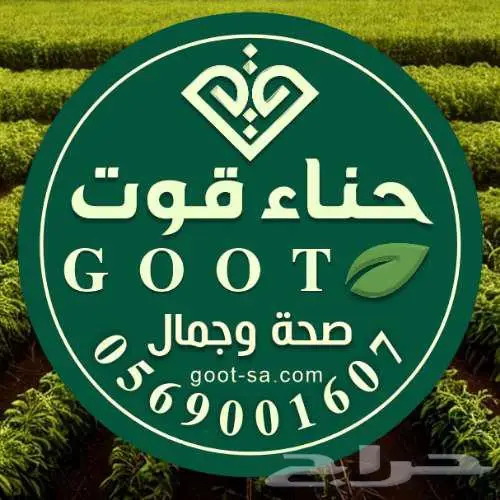 سدر وحناء المدينة العضوي 0