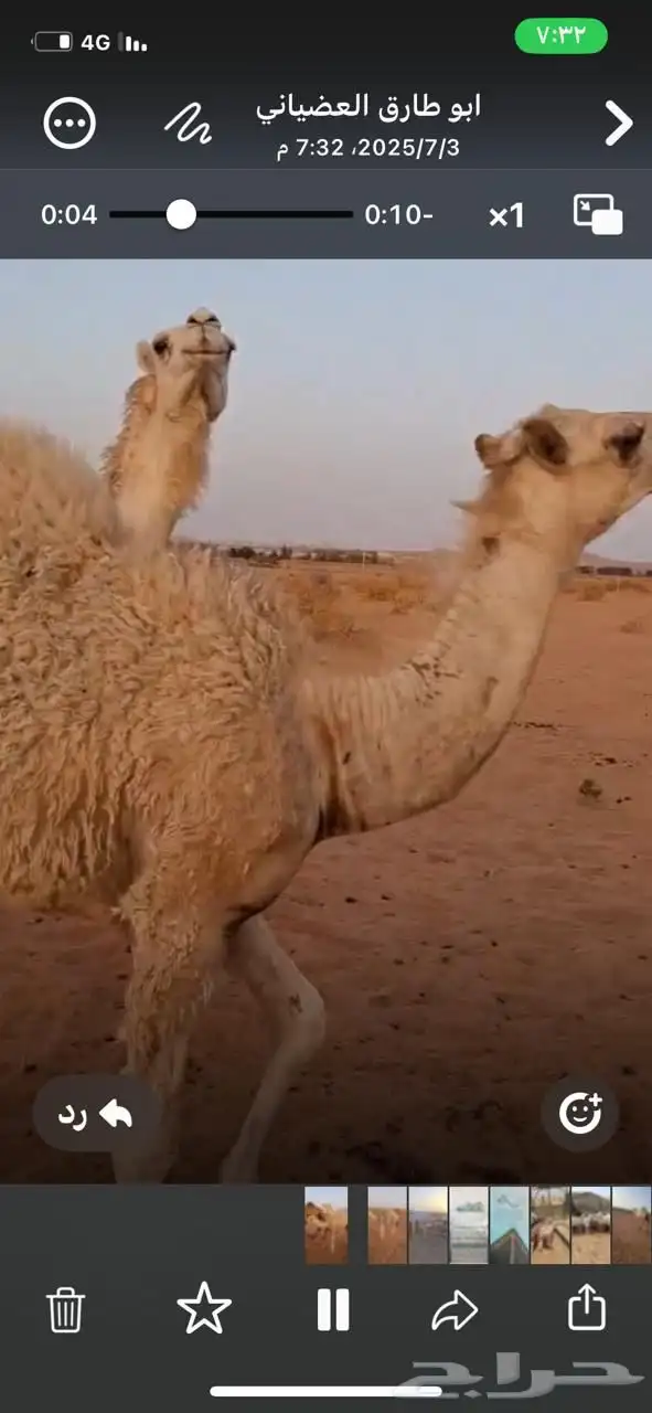 حشوان قعدان قصب سمان وجبره يضرماء 0
