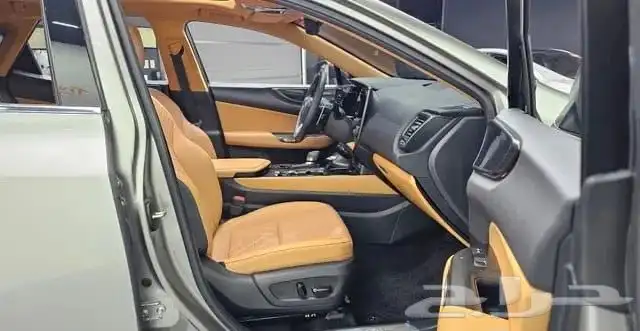 NX350h 2024 10