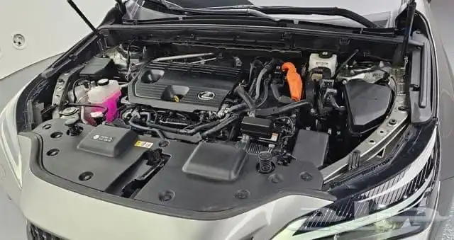 NX350h 2024 5