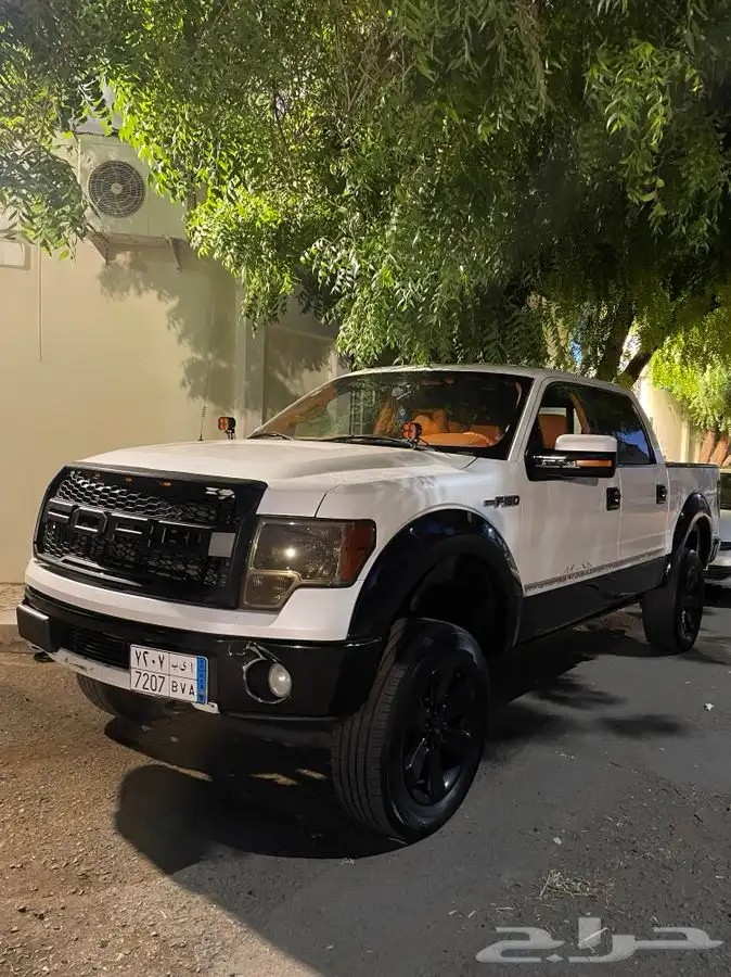 فورد F150 index