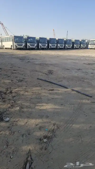 معارض ومزادات 2