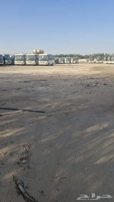 معارض ومزادات 0