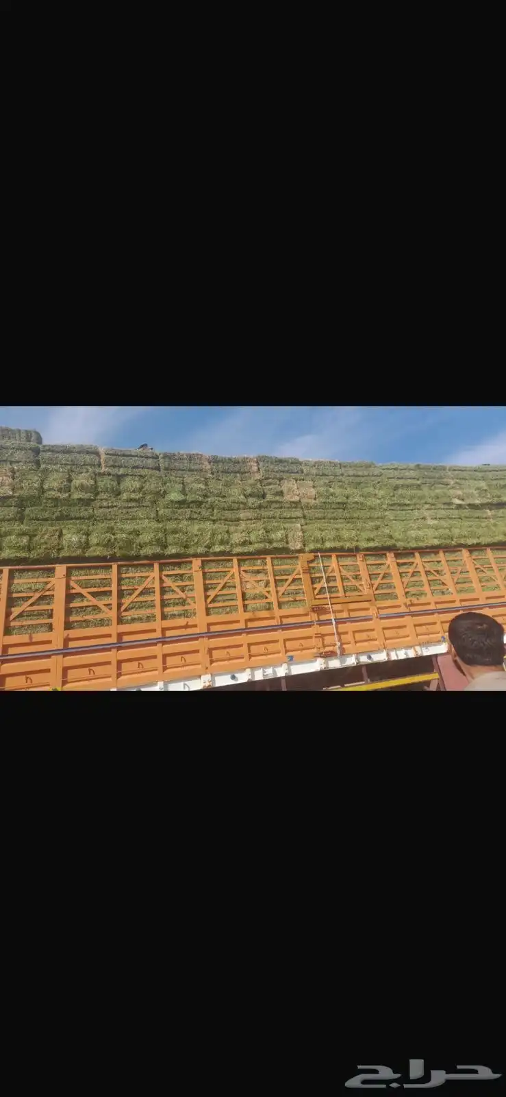 تيدر جوانب المطلق 0