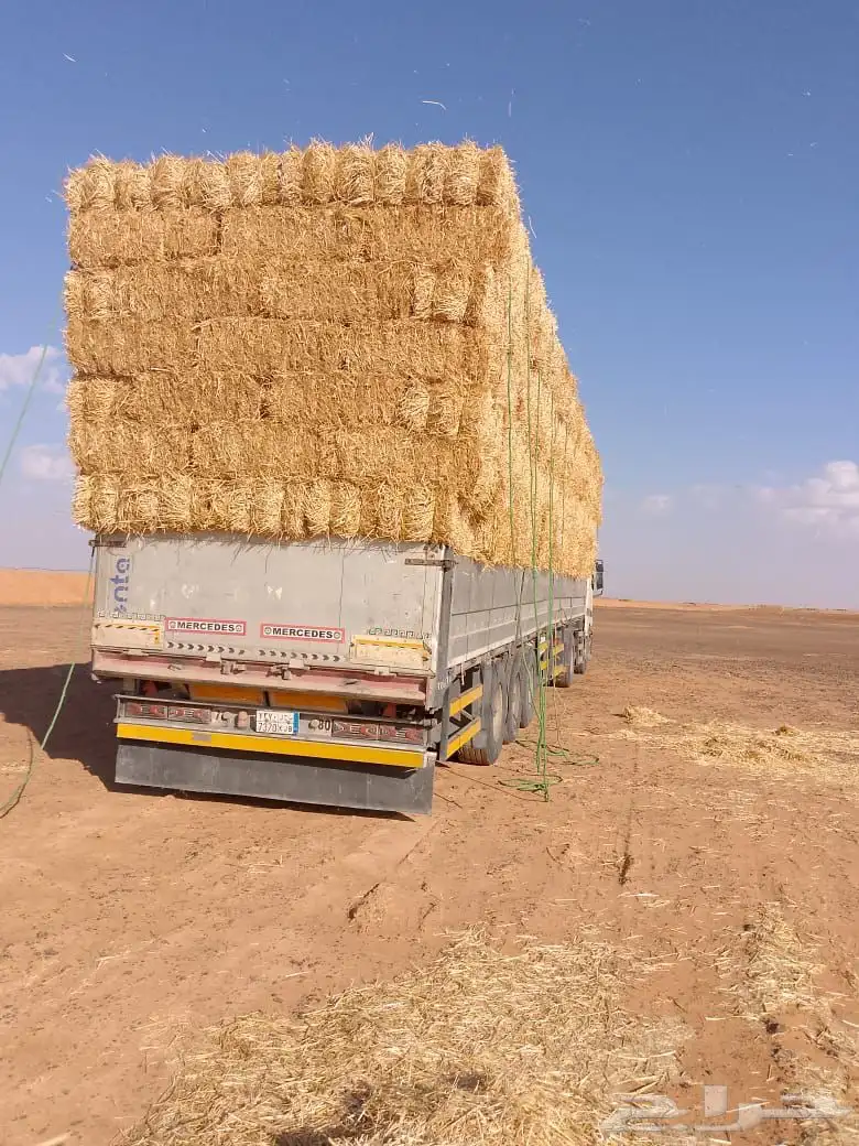 تبن قمح شد أوزان 3