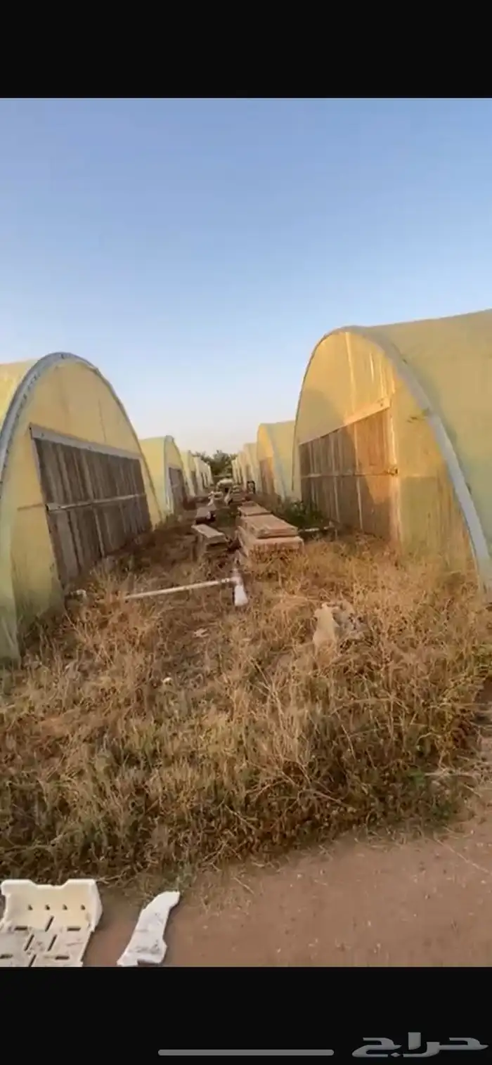 بيوت محميه البيع 1