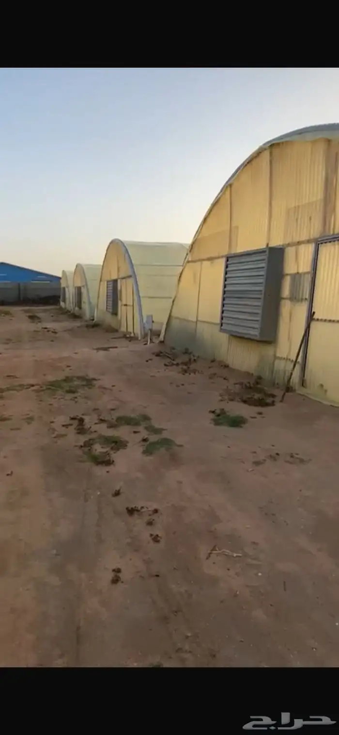 بيوت محميه البيع 0