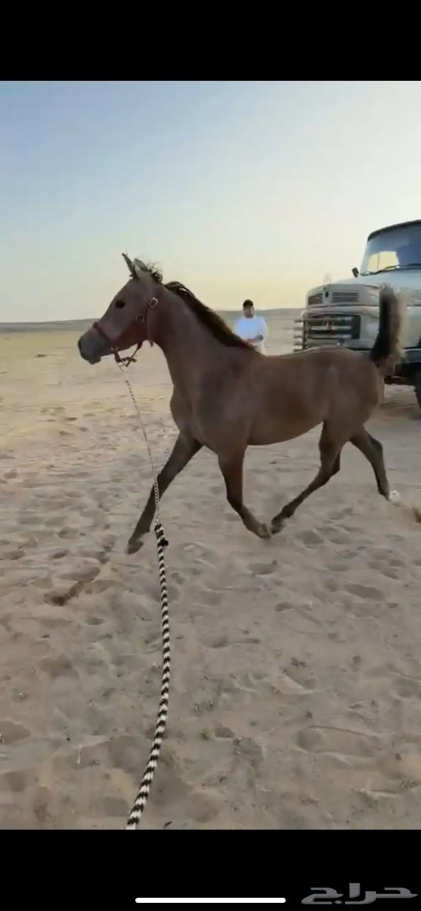مهره شعبيه 0
