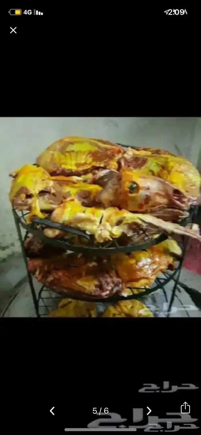 برميل مندي متنقل 4