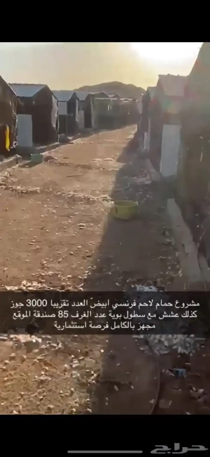 حمام فرنسي لاحم ابيض 5